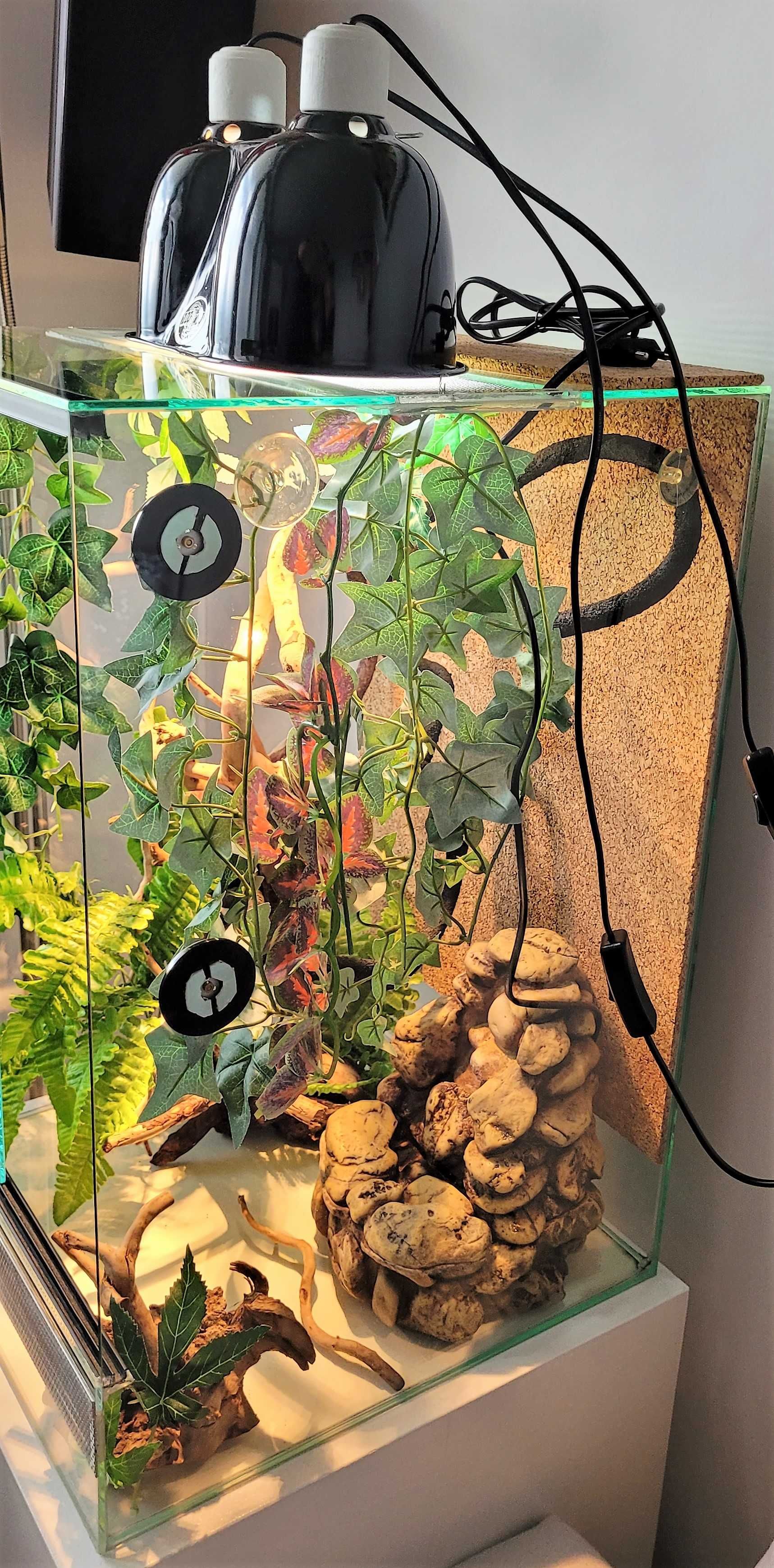 Terrarium z wyposażeniem