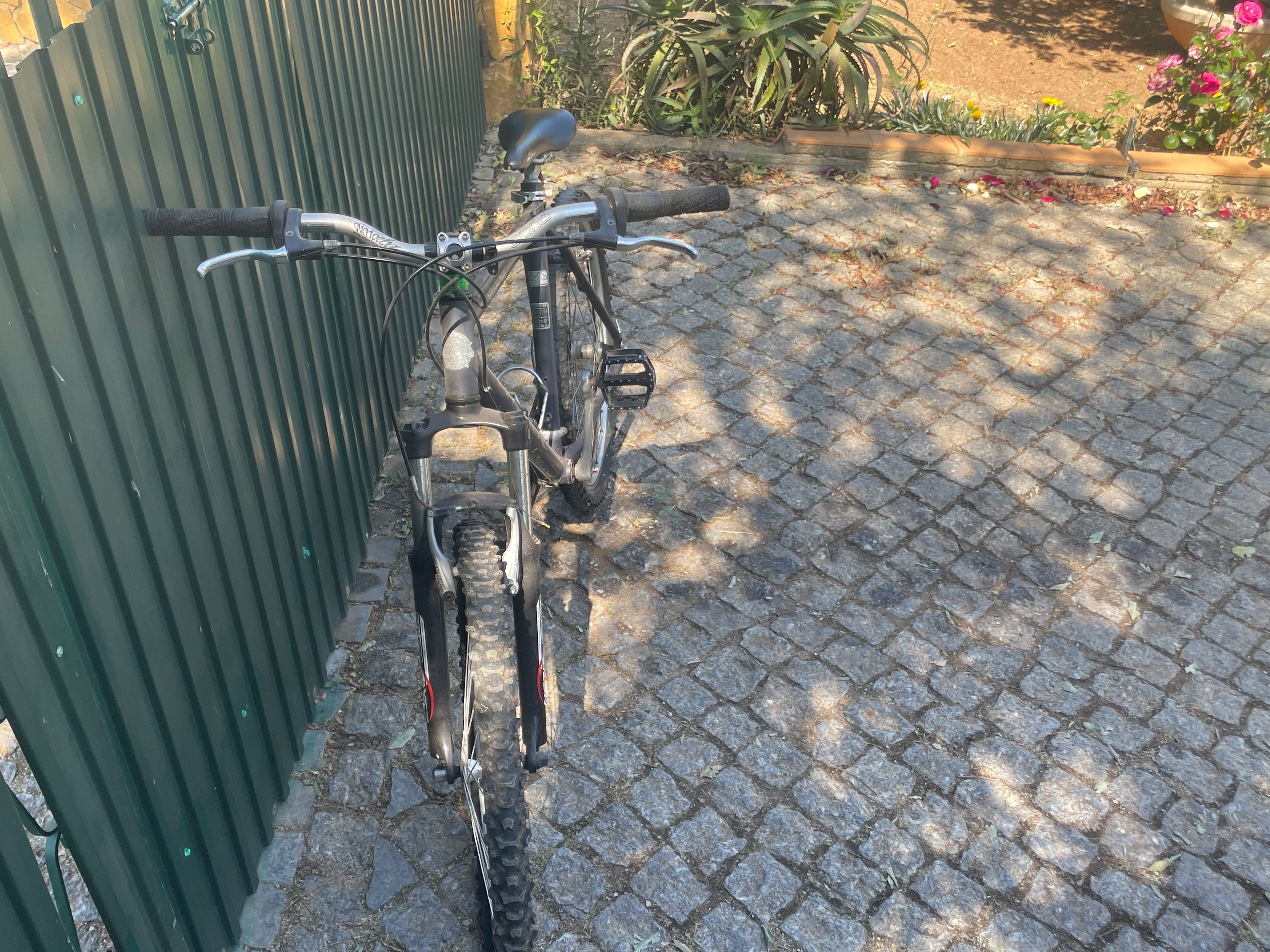 Bicicleta de trilha