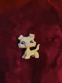 Figurka LITTLEST PET SHOP #1194 Collie - UNIKAT 2007 Hasbro