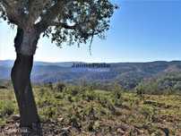 170HA com cortiça e casa na Serra do Caldeirão. Portugal. Alentejo,...