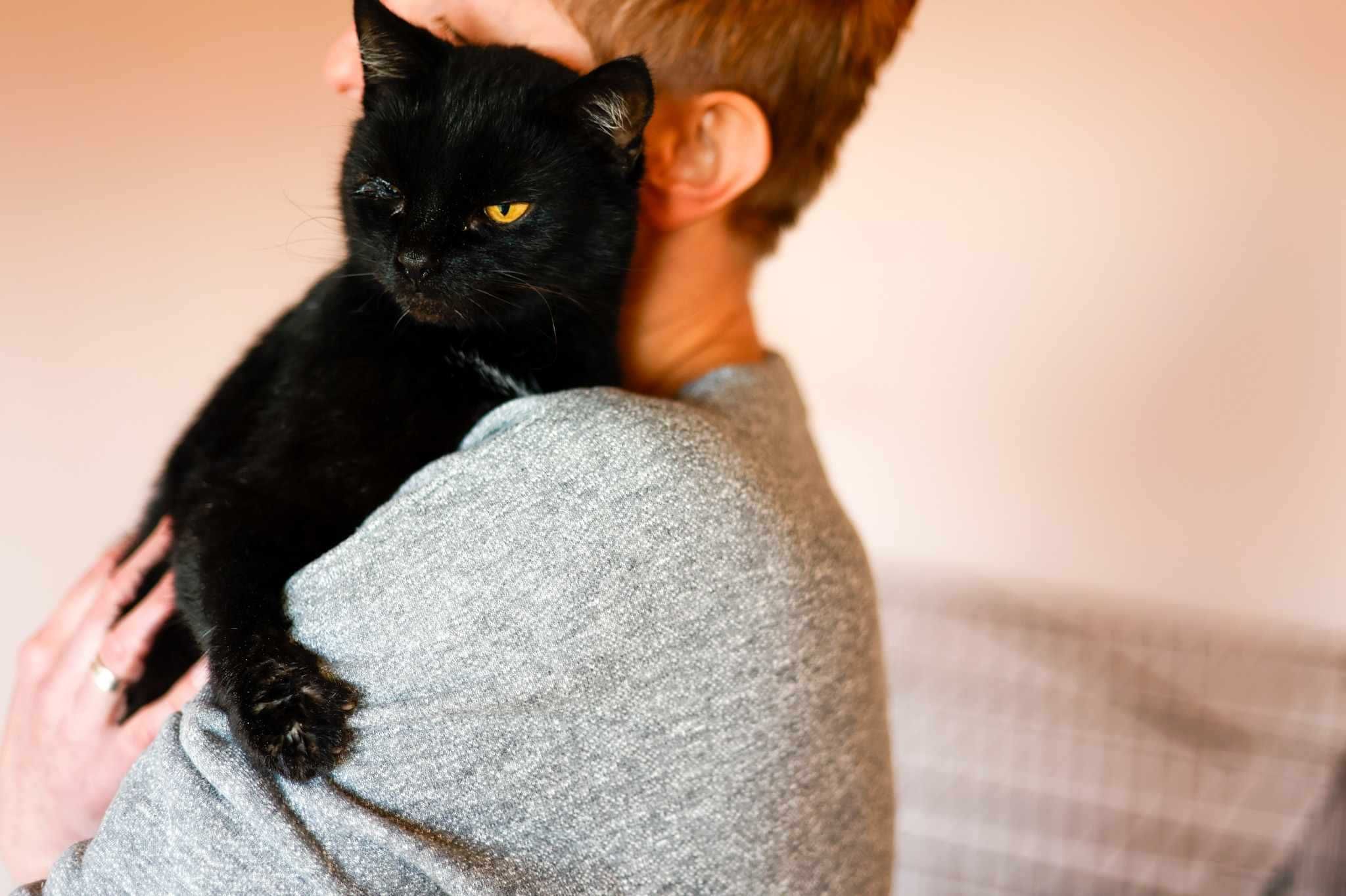Czarna kocia przytulanka do adopcji :)