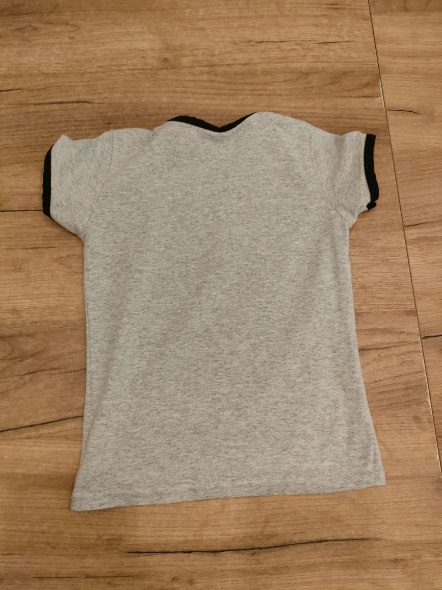 T-shirt  tshirt 98 104 z kotem bluzka z krótkim rękawem
