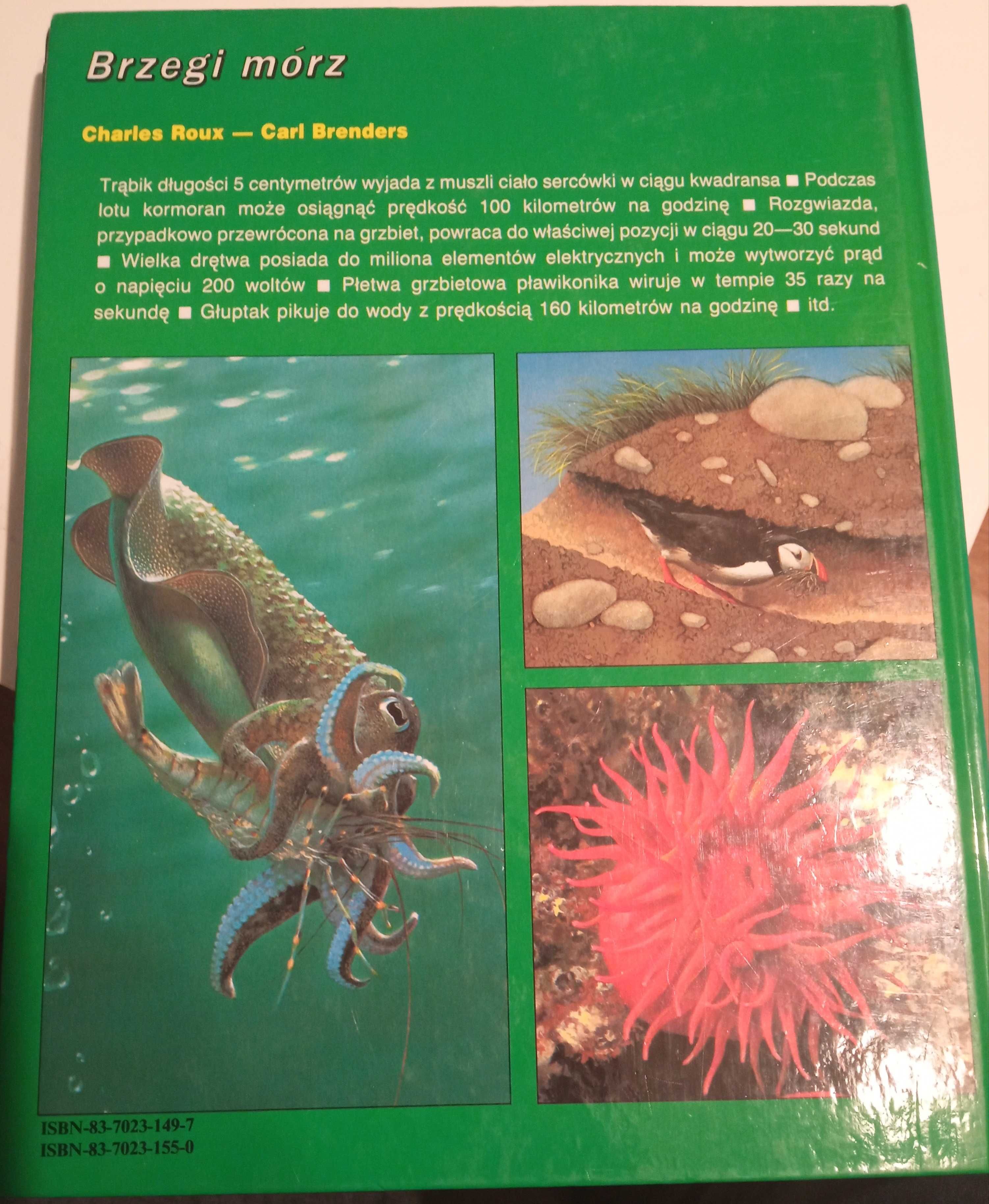 Książka Tajemnice zwierząt Brzegi mórz