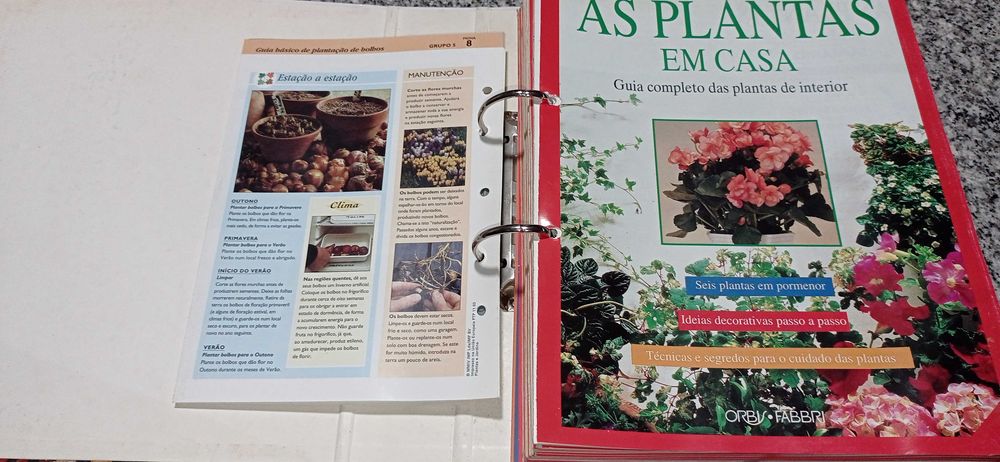 Fascículos "As plantas em casa"