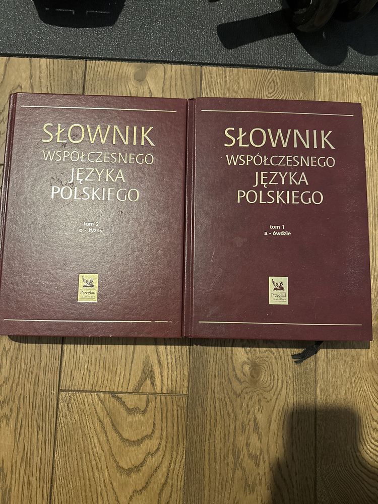 Książki Słownik współczesnego języka polskiego