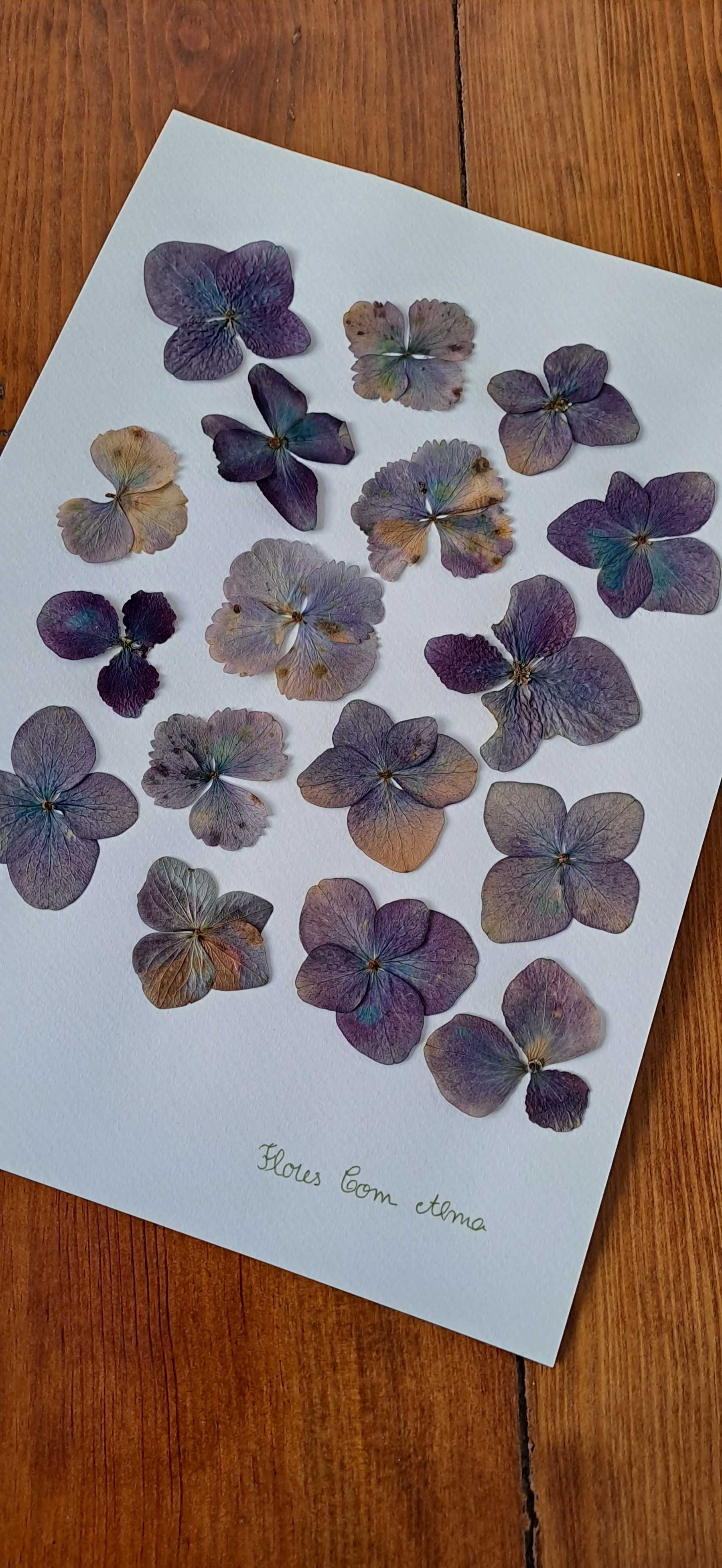 Moldura coleção Açores - Hortênsia