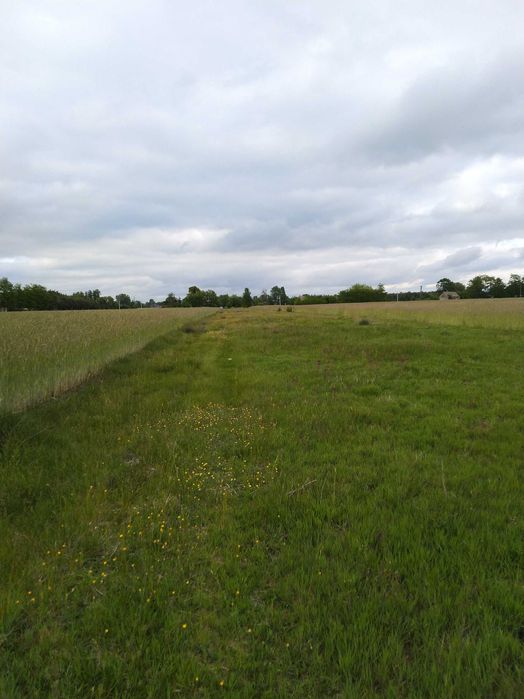 Działka rolno - budowlana w Leźnicy Małej gm. Łęczyca