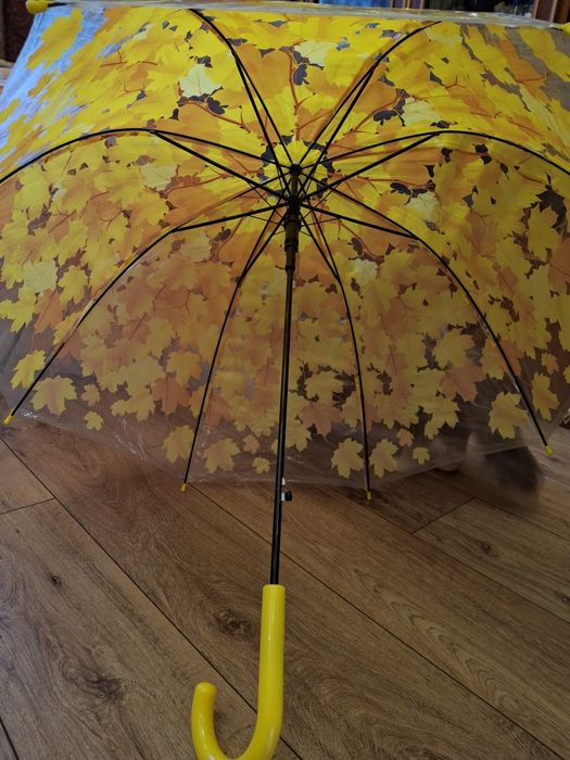 Прозора парасолька з куполом грибком і кленовим листям