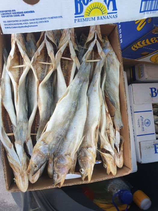 Тарань сушена з ікрою. Лящь Судак Окунь верховодка