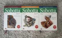 ATLAS anatomii człowieka SOBOTTA. Angielskie mianownictwo. Tom 1 2 i 3