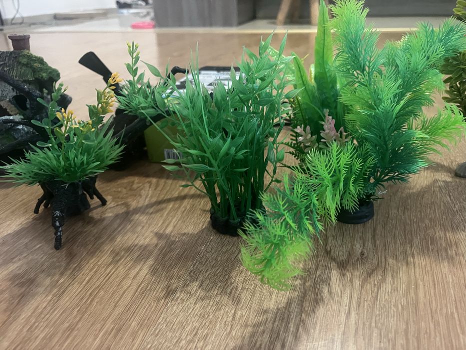 Akarium owalne 25l wraz z calym zestawem