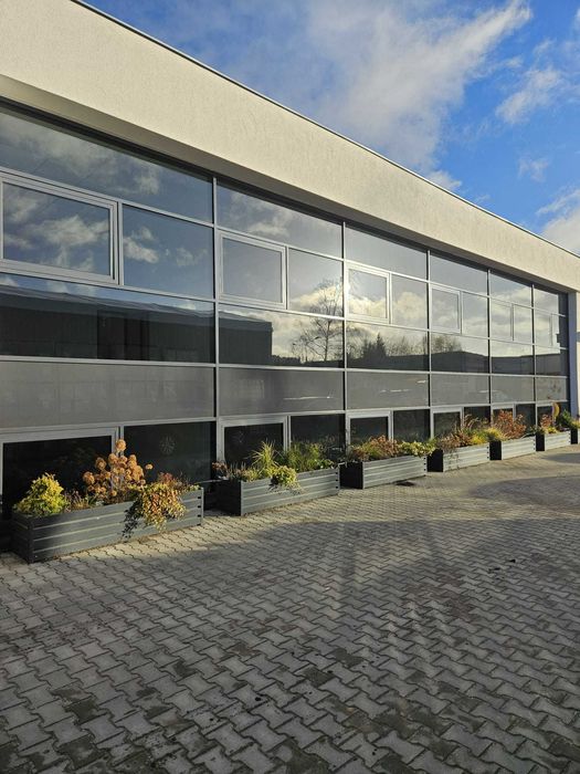 Wynajmę Biuro, Lokal usługowy GNIEZNO