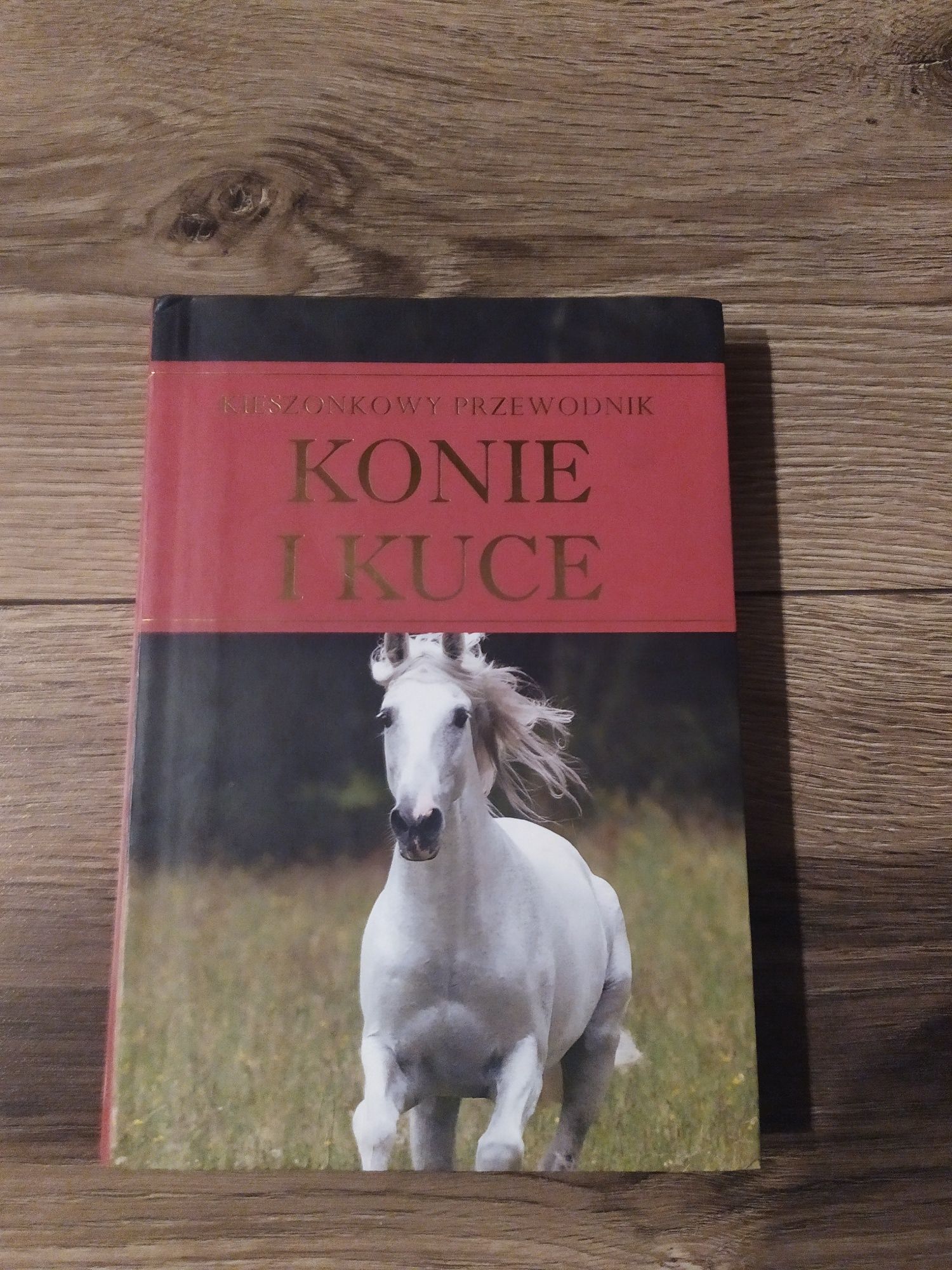Książka "Konie i kuce"