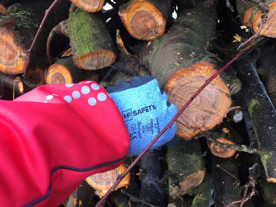 Drewno opałowe , śliwkowe.