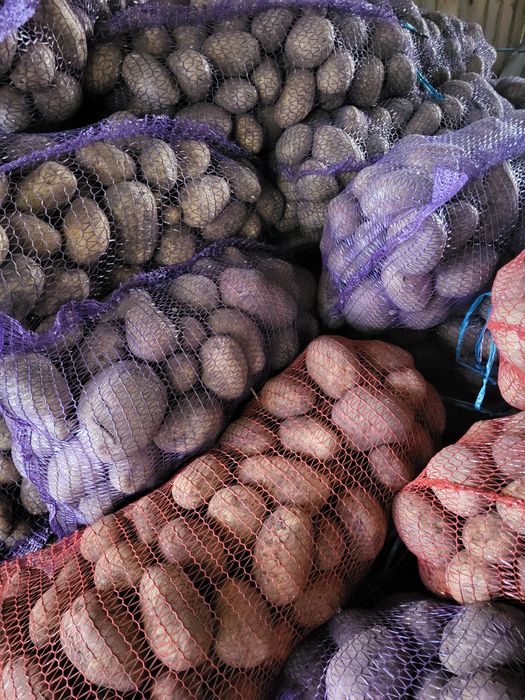 Продам картоплю дуже смачна, ДОСТАВКА. БЕЗ ХІМІКАТІВ бульба картофель