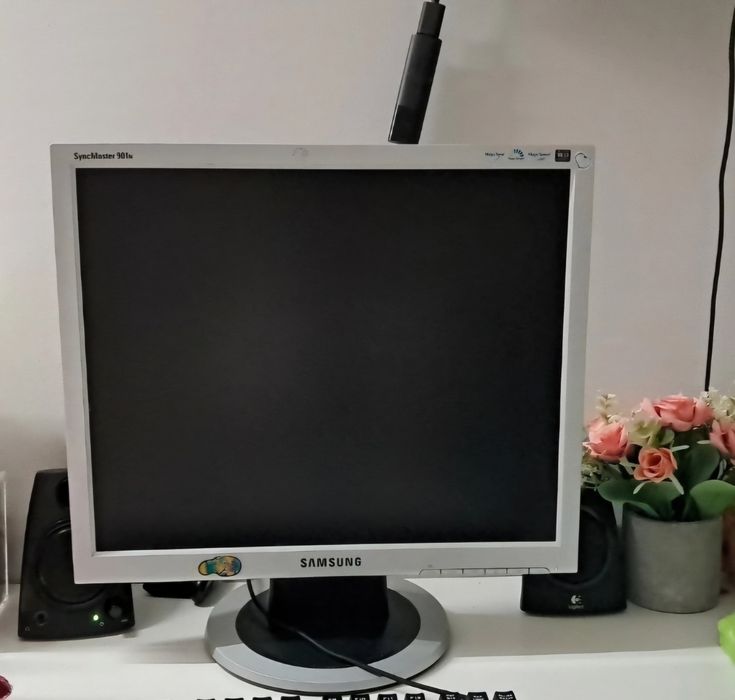 Monitor Samsung Vintage