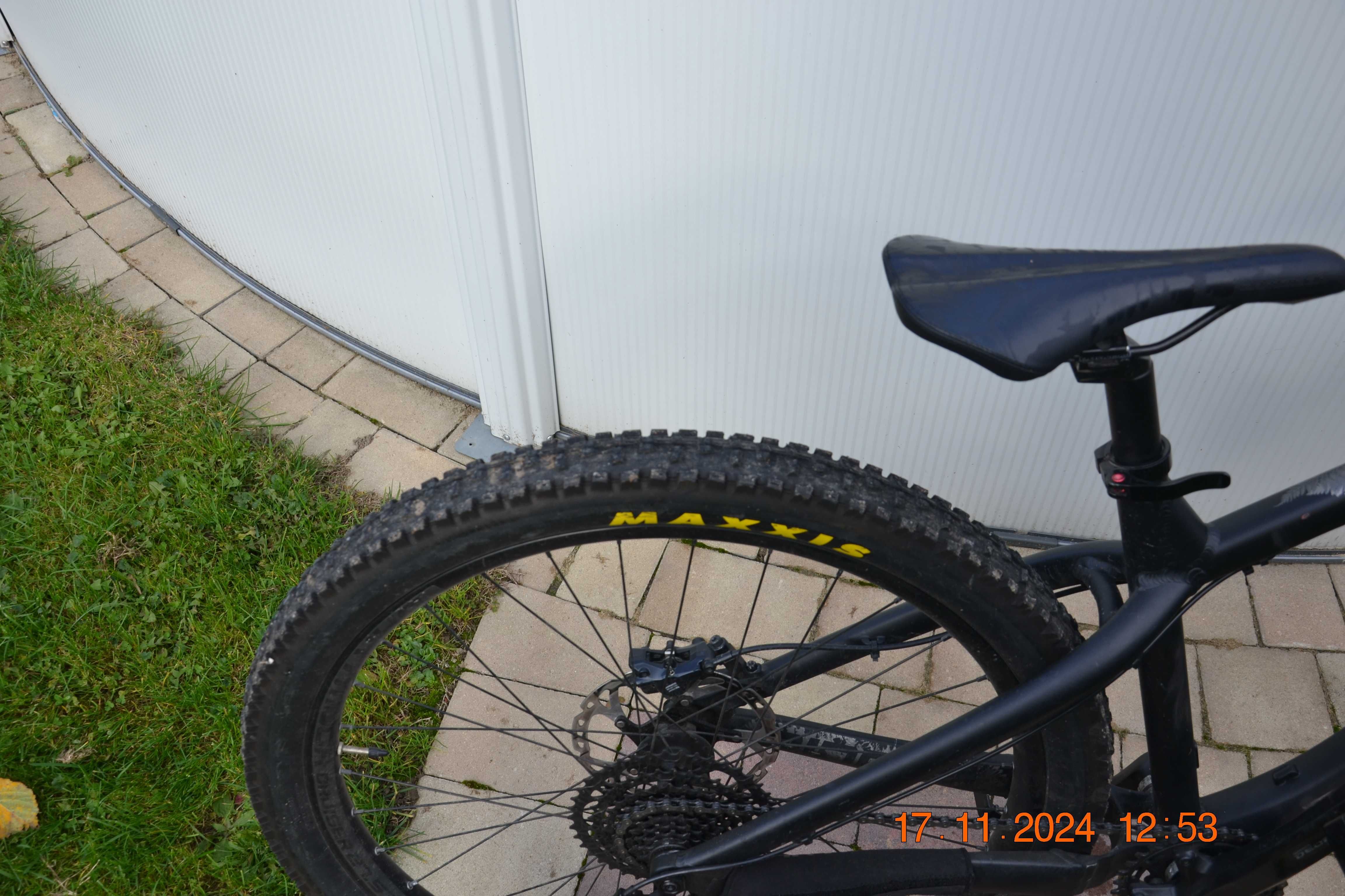 dartmoor hornet 2022 M