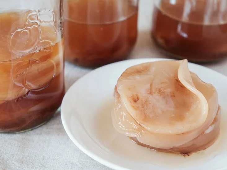 Kombucha (kombucza) / grzyb herbaciany