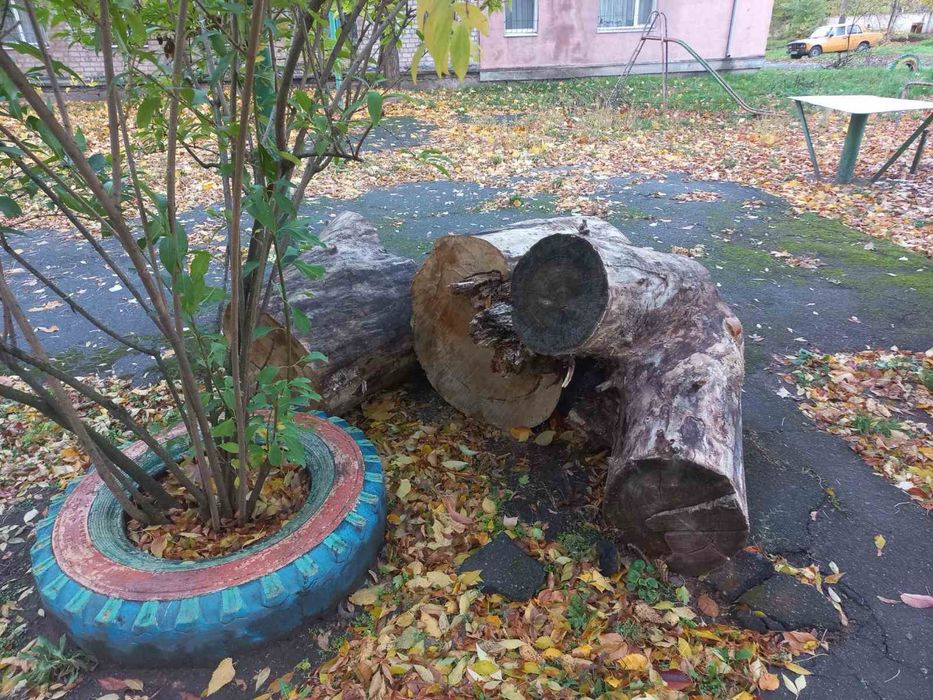 Безкоштовно на дрова