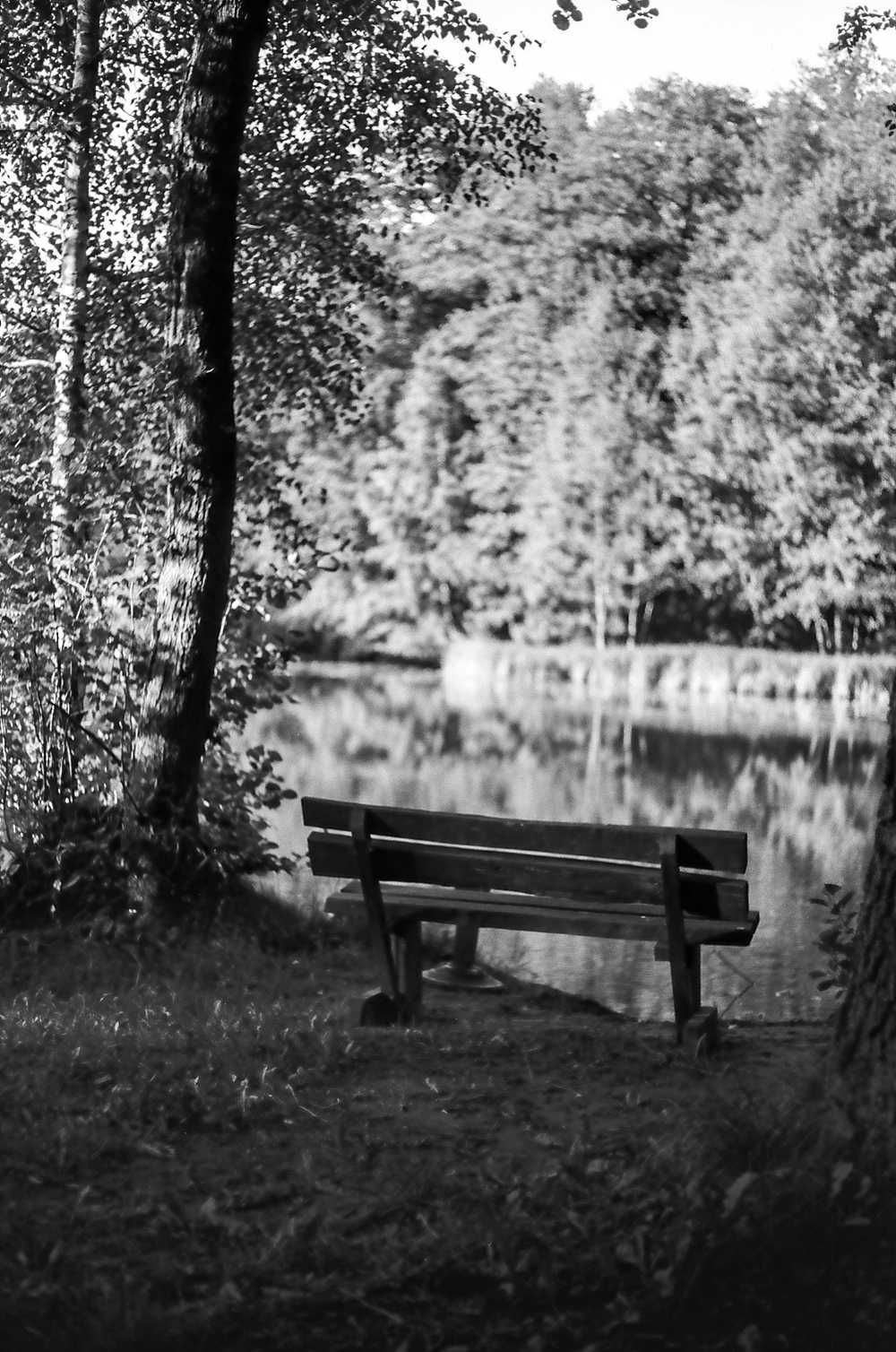 Contax RTS + Yashica DSB 55 mm f 2.0 + pasek