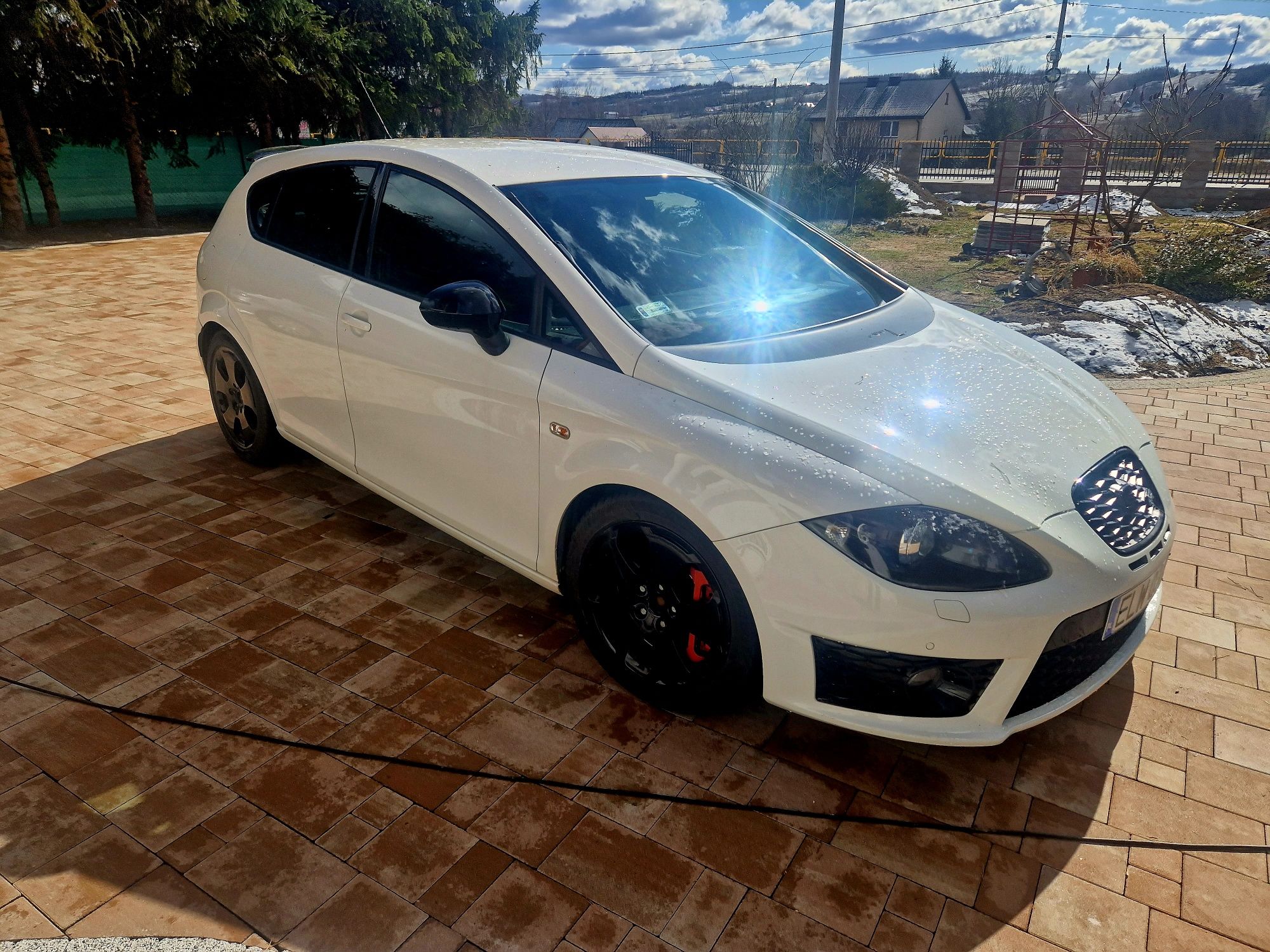 Seat Leon 2 Cupra R 2010 2.0 265KM