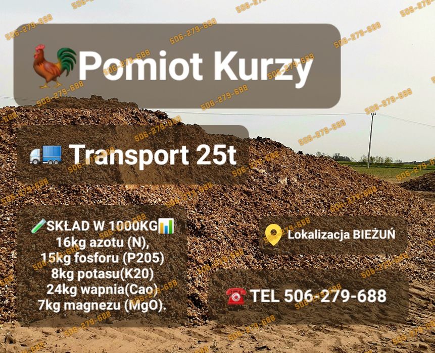 Obornik kurzy, Pomiot kurzy, Kurzak transport