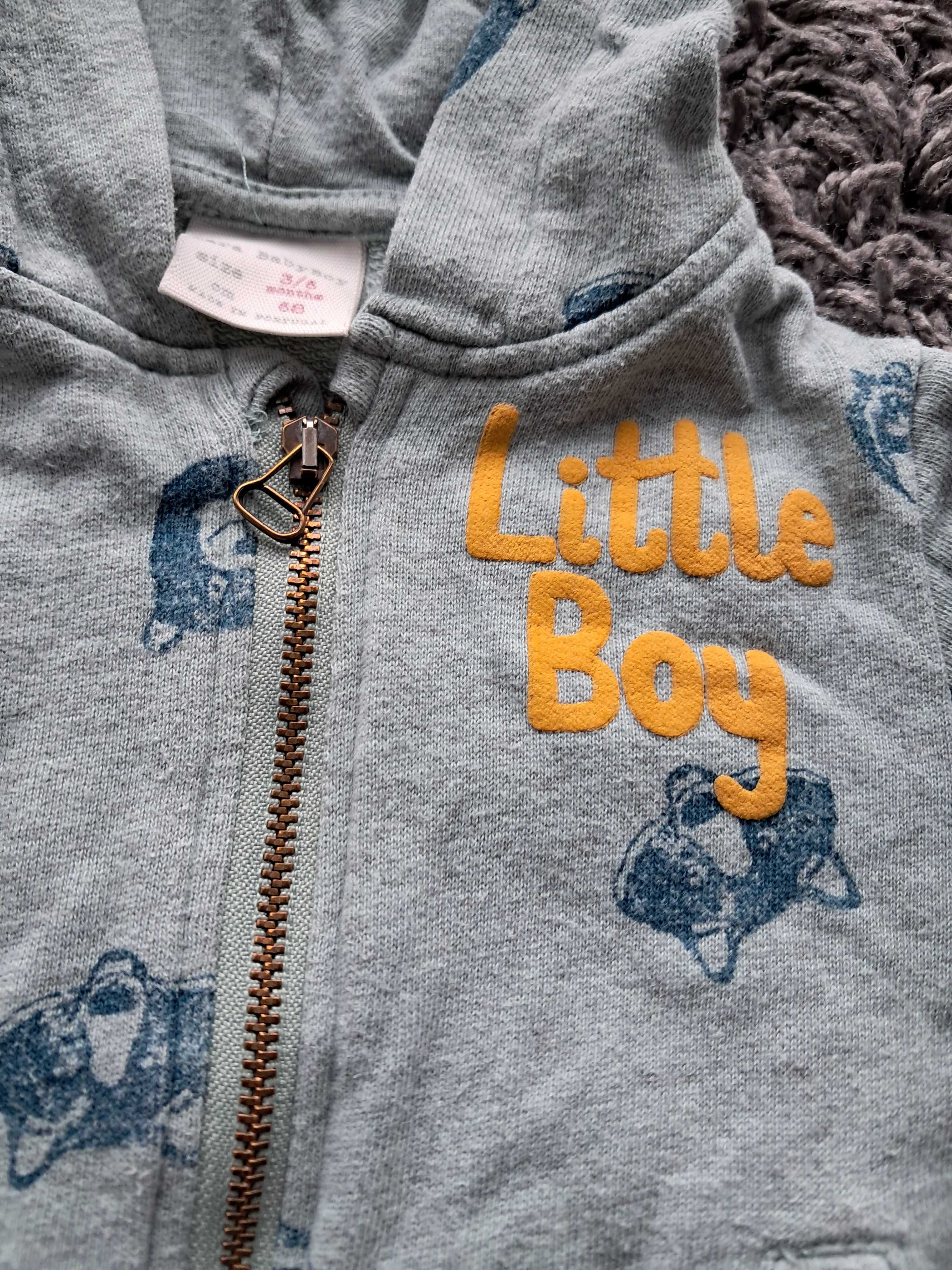 Bluza niemowlęca chłopięca zwierzątka Zara Baby