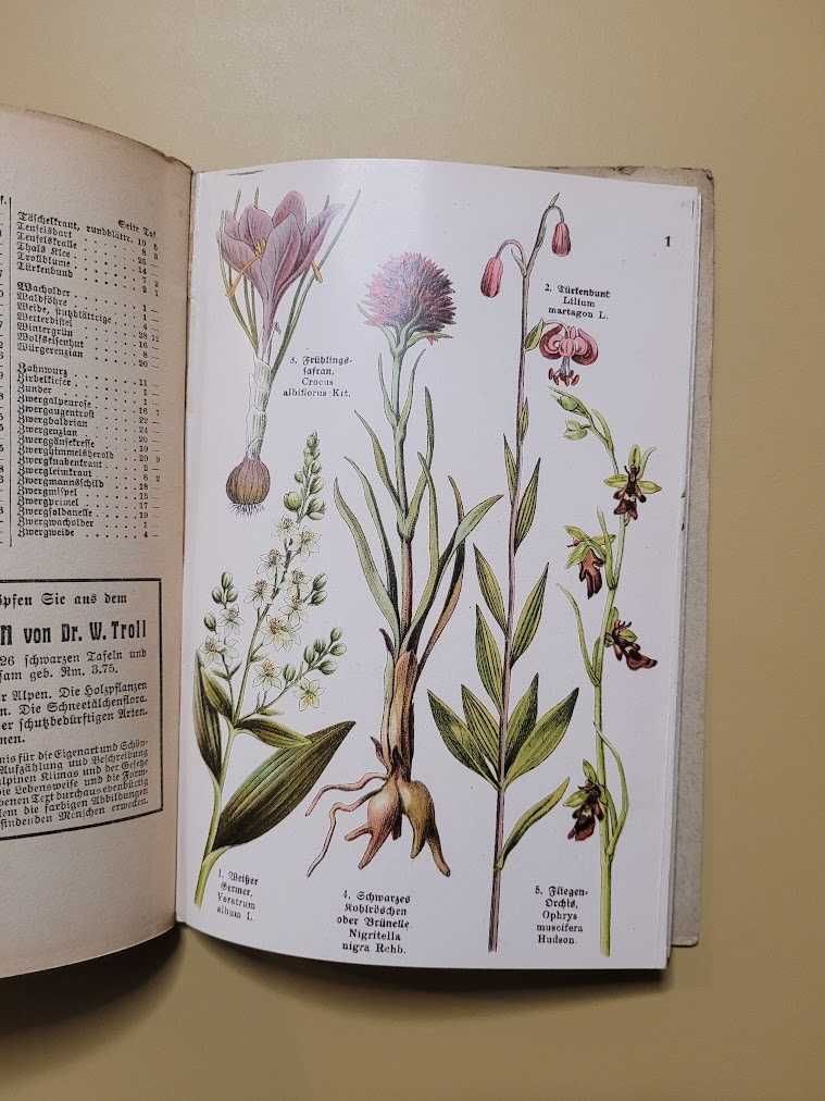 Schreibers kleiner Atlas der Alpenpflanzen