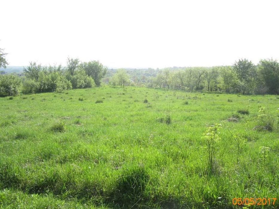 Продаж земельної ділянки 25 сот. Хмельницька обл., с.Стуфчинці  10500$