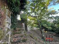 Quintinha T4 Venda em Pinheiro,Oliveira de Frades