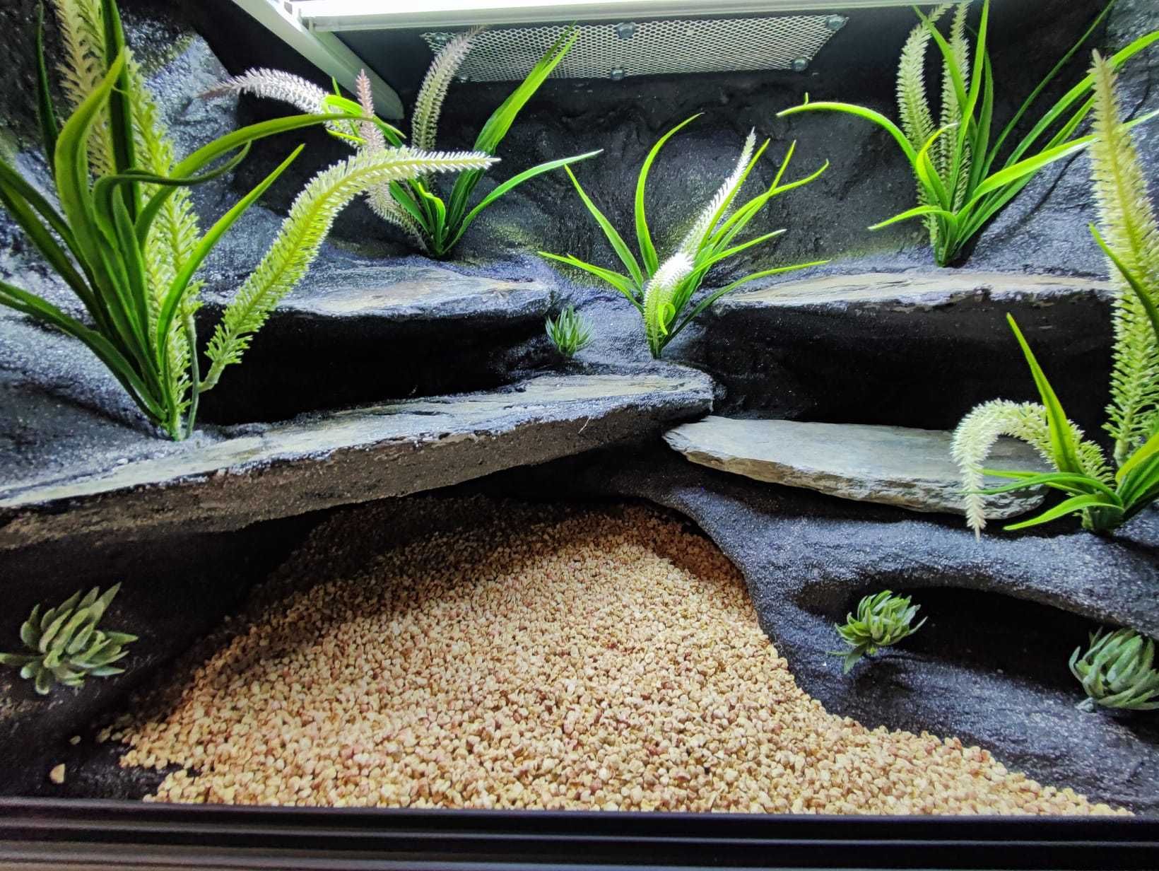 Terrarium pustynne nr657 60/40/40 dla gekona lamparciego NA ZAMÓWIENIE