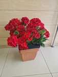 Sztuczne Pelargonie bukiety