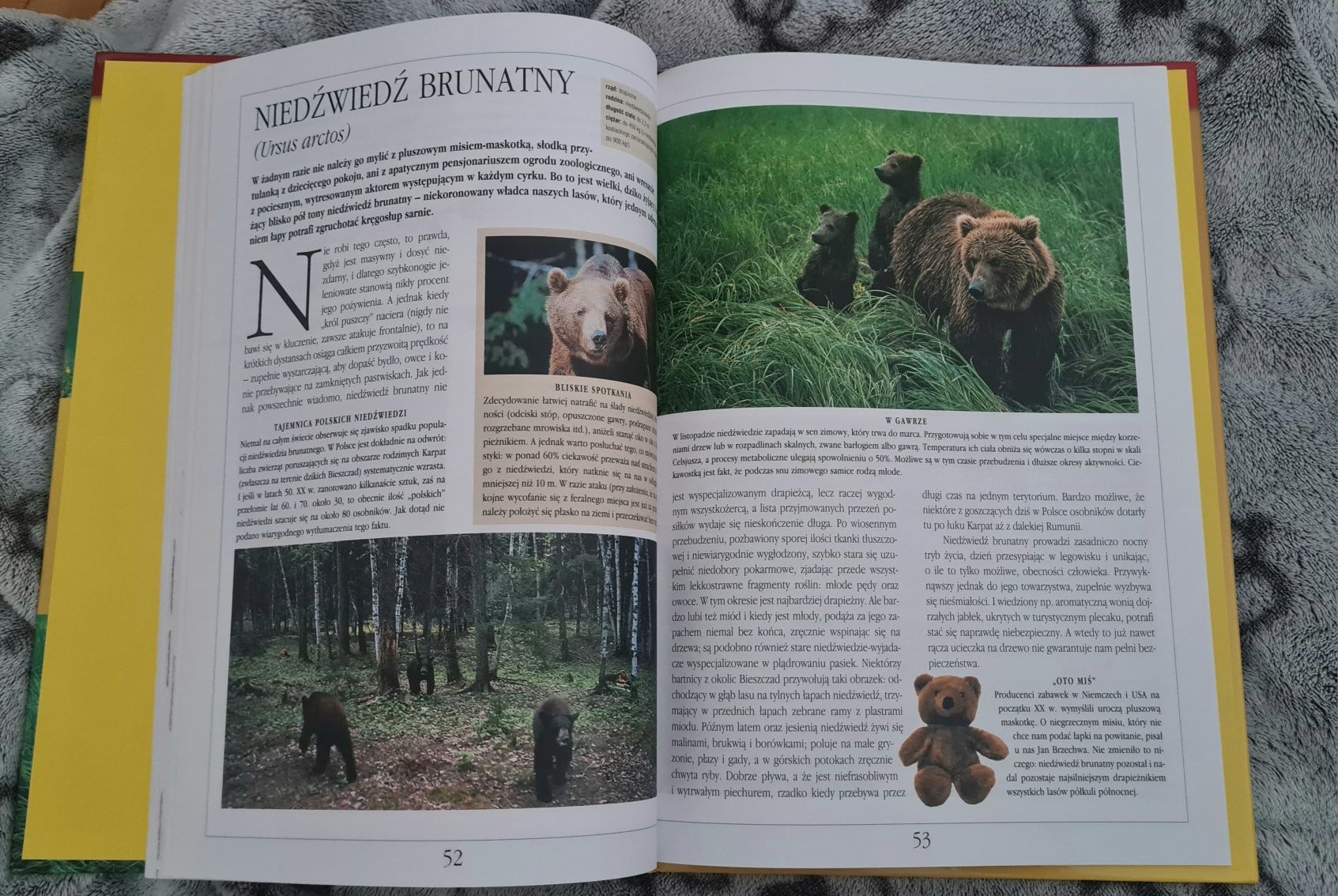 Zwierzęta chronione w Polsce książka nauka natura