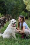 W typie podhalana sunia do adopcji