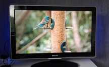 Телевізор Philips 37