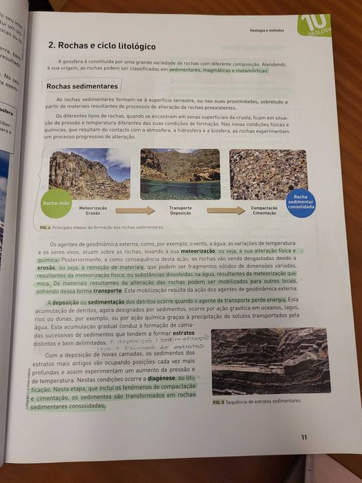 Livro de preparação para exame de biologia e geologia 2021