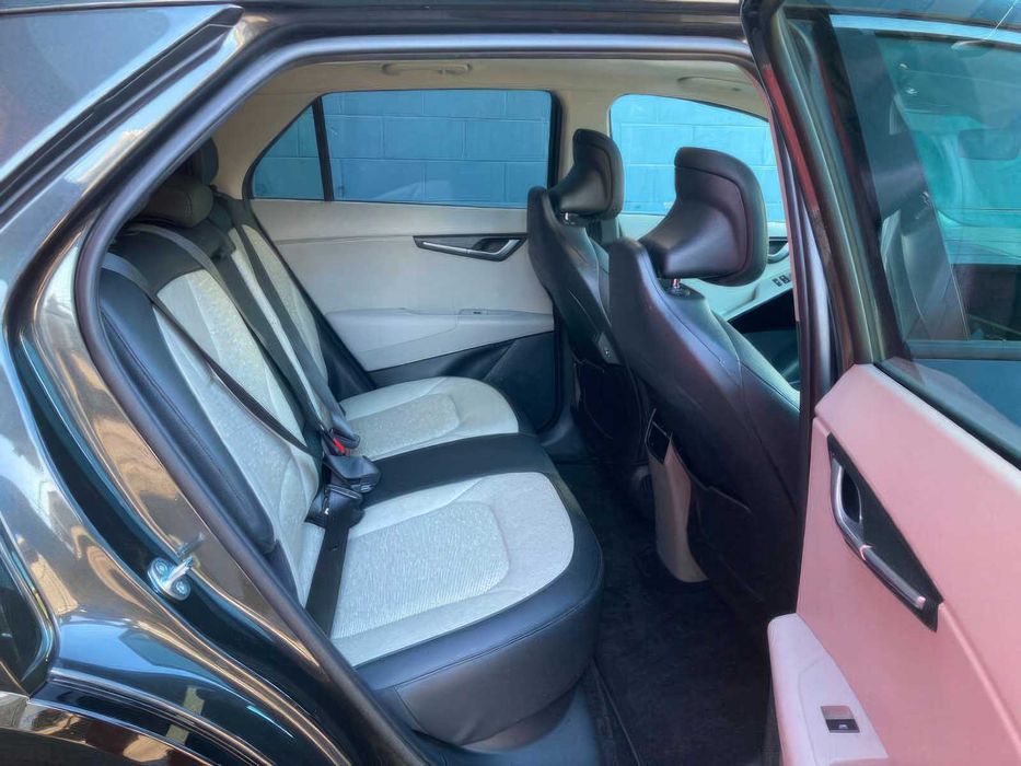 Kia Niro EV Wave      2023