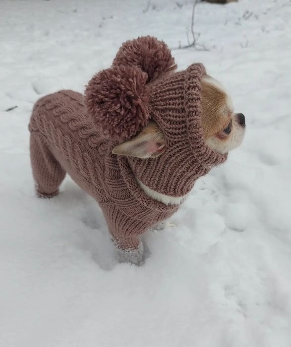 Шапочки комбинезоны свитера жилеты платье для собак