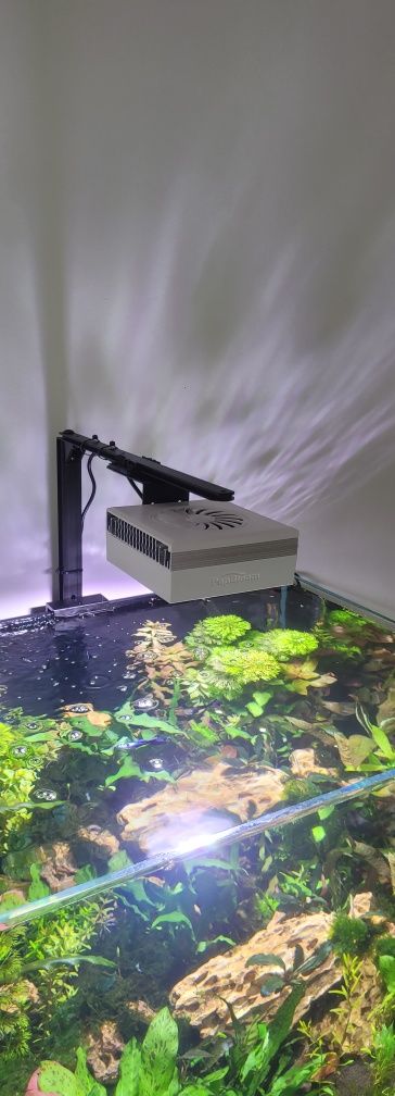 Lampa akwariowa pod rośliny Popbloom RL90