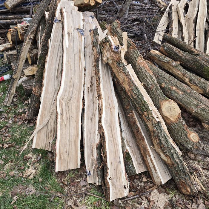 Drewno opałowe dąb