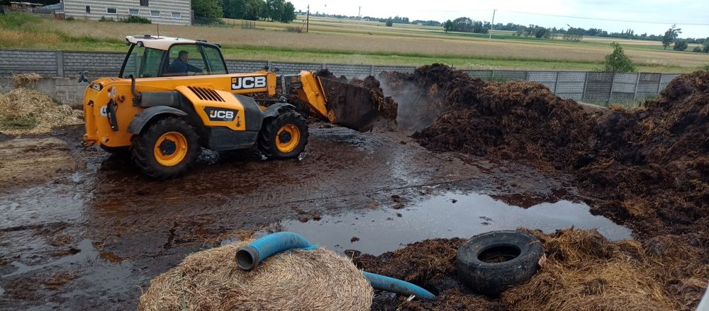 Obornik bydlecy / kurzak transport oraz rozrzucanie