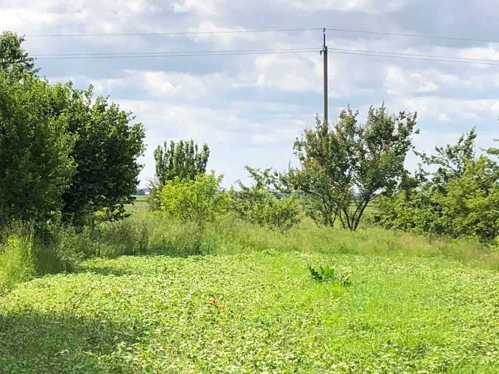 Продаж земельної ділянки