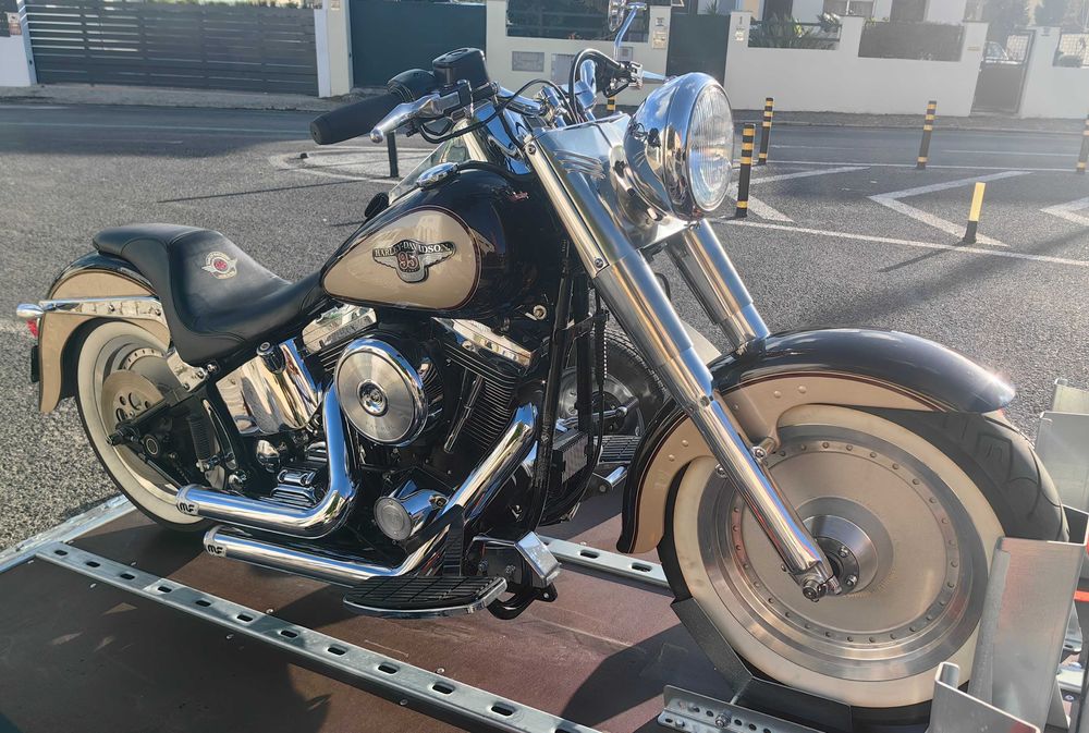 Harley Davidson Fat Boy Evolution 95Th anniversary