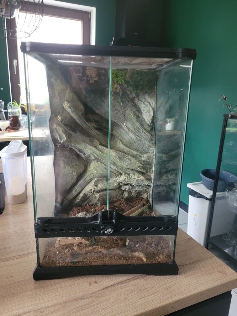 Terrarium dla gekona Eko terra