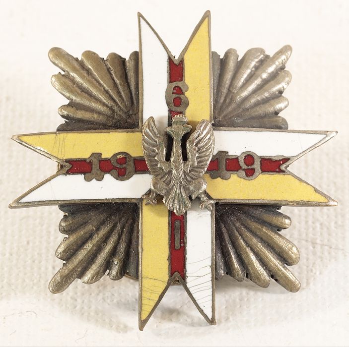 Odznaka 17 Pułk Ułanów Wielkopolskich 1 wersja numerowana Gontarczyk