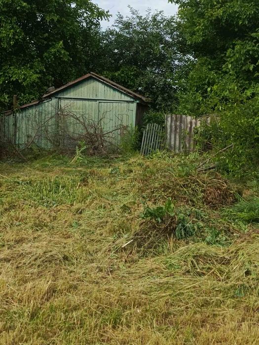 Будинок з земельною ділянкою