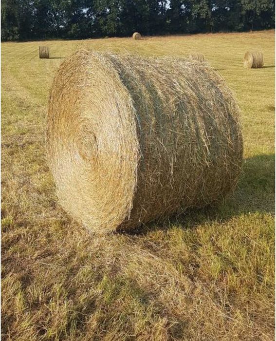 Enfardadeira de rolos New holland 648