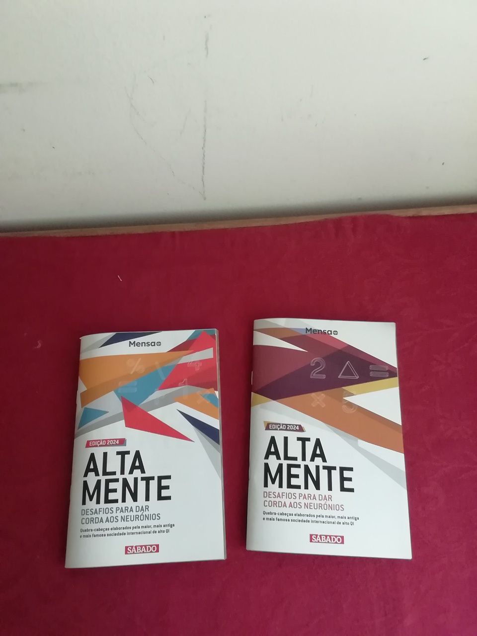 Revistas Alta Mente de 2024