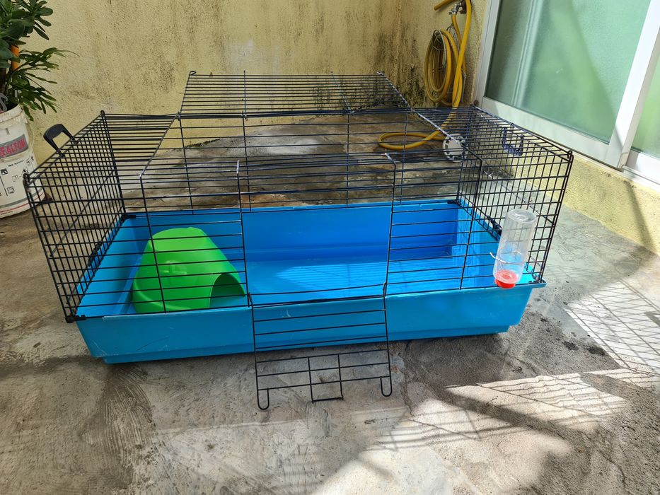Gaiola Coalhinhos