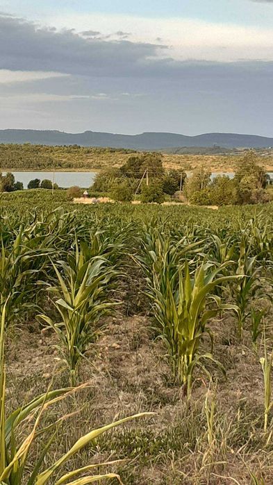 Земельна ділянка під Постройку в с.Пістрялово